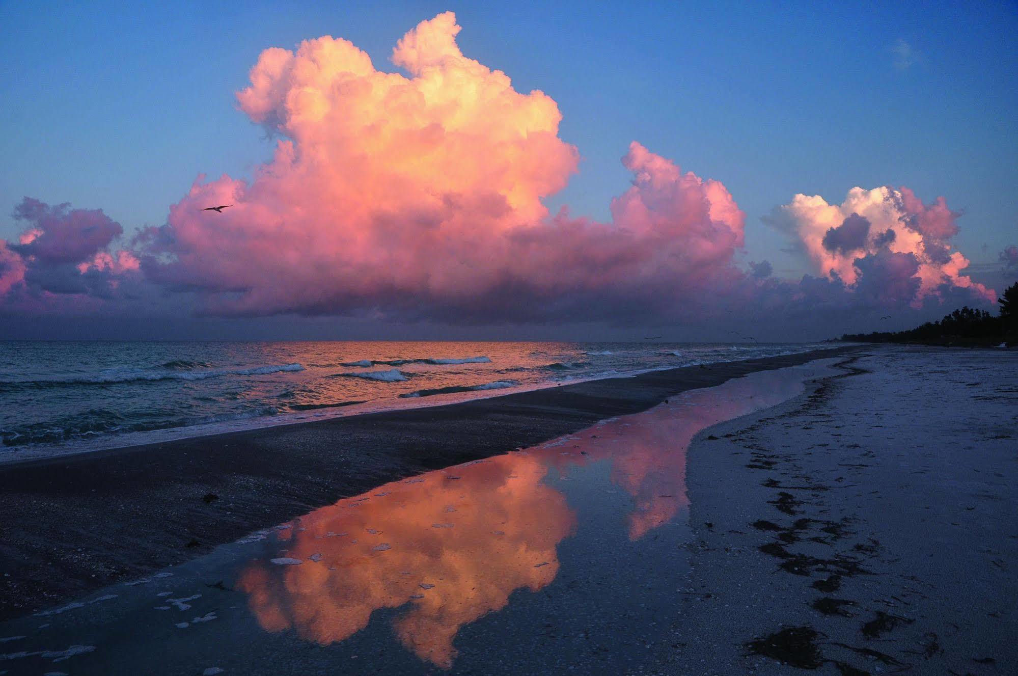 Beach Castle Resort By Rva Longboat Key Luaran gambar